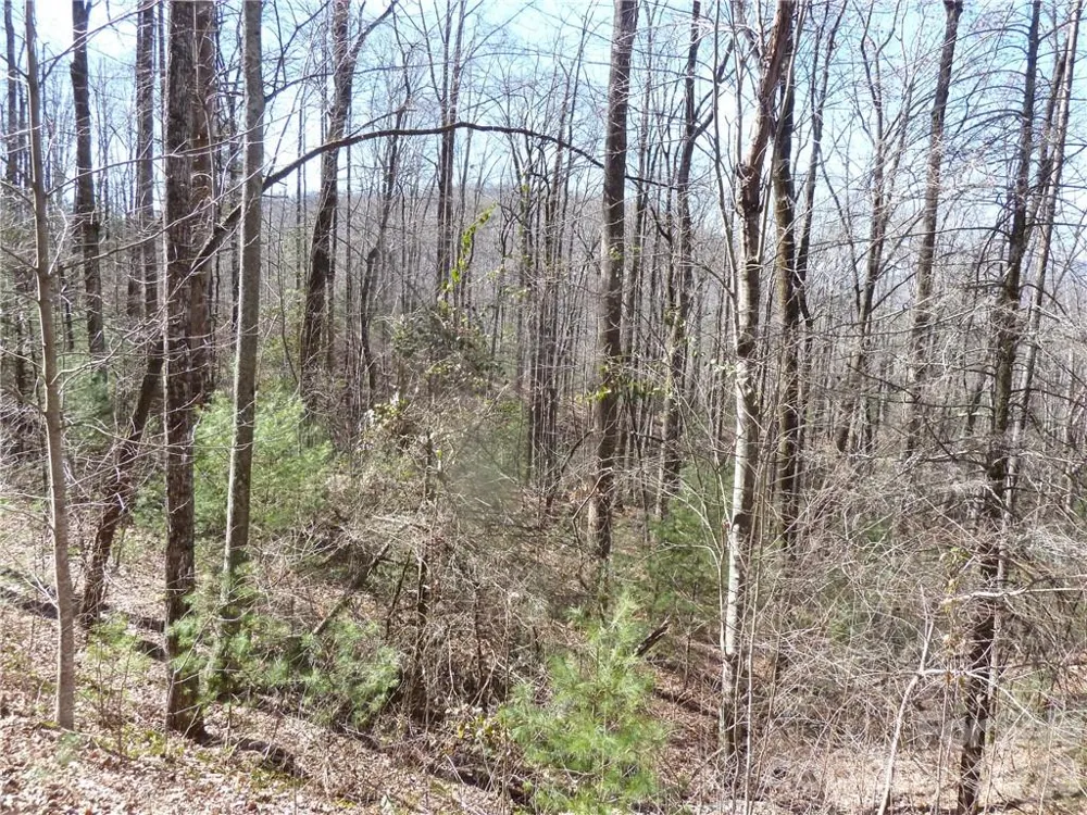 79 Peppervine Circle #L79 Rosman, NC 28772