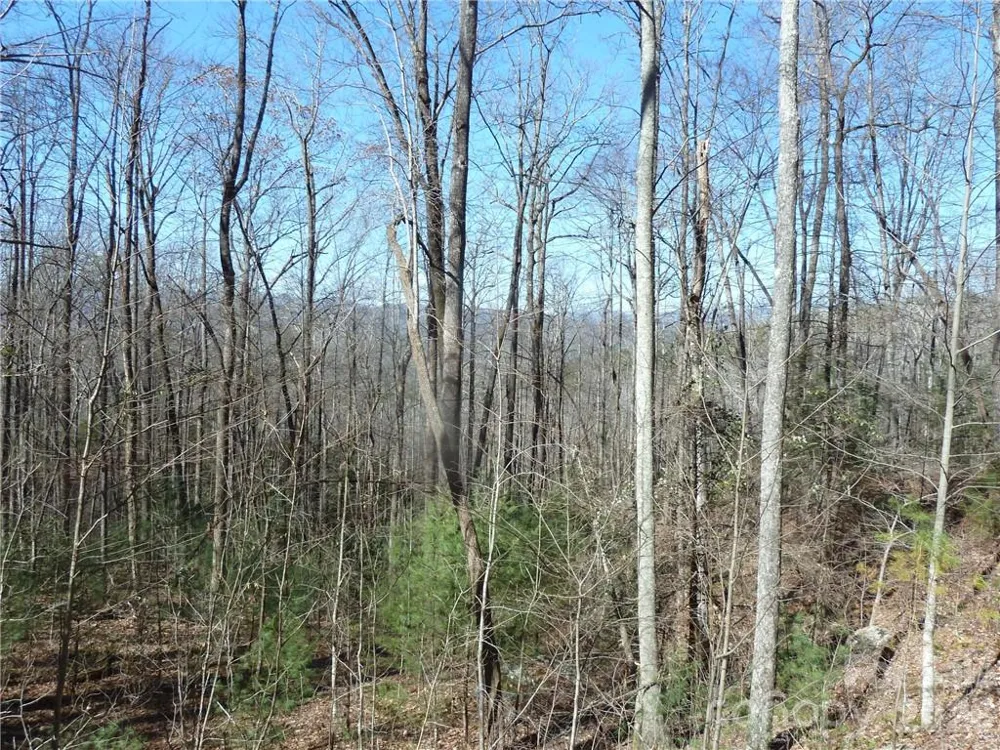 79 Peppervine Circle #L79 Rosman, NC 28772