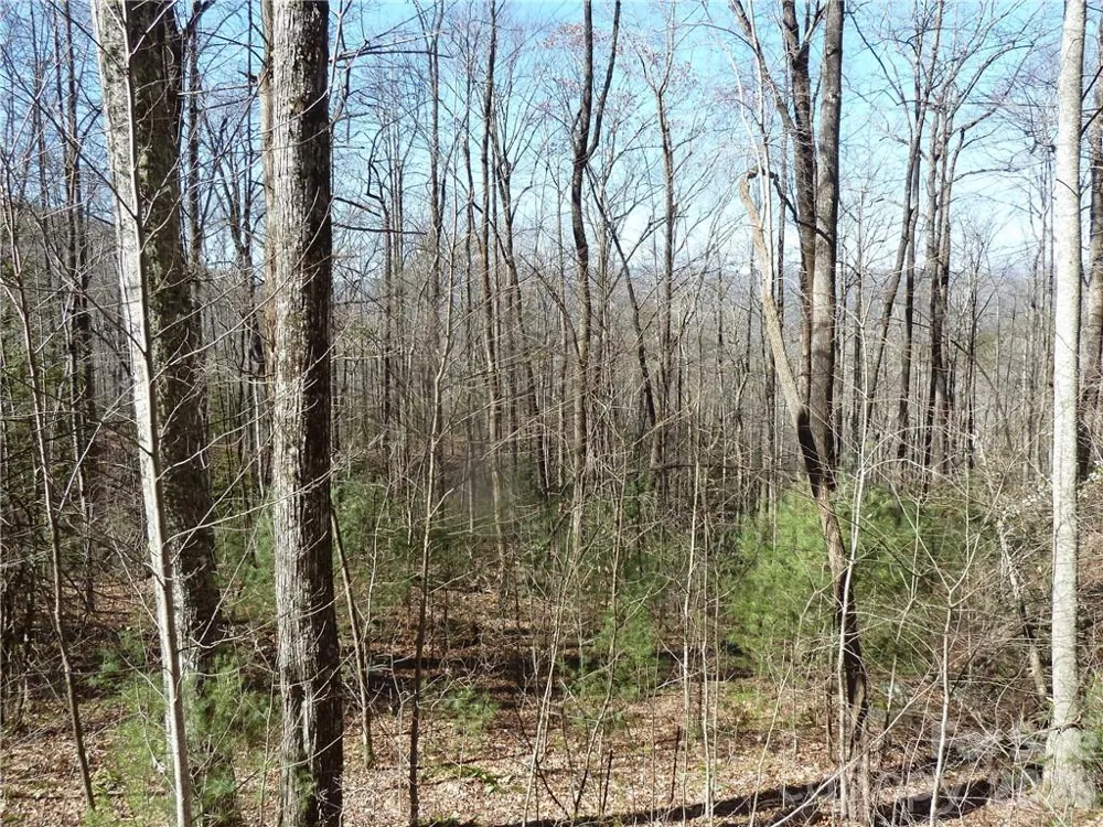 79 Peppervine Circle #L79 Rosman, NC 28772