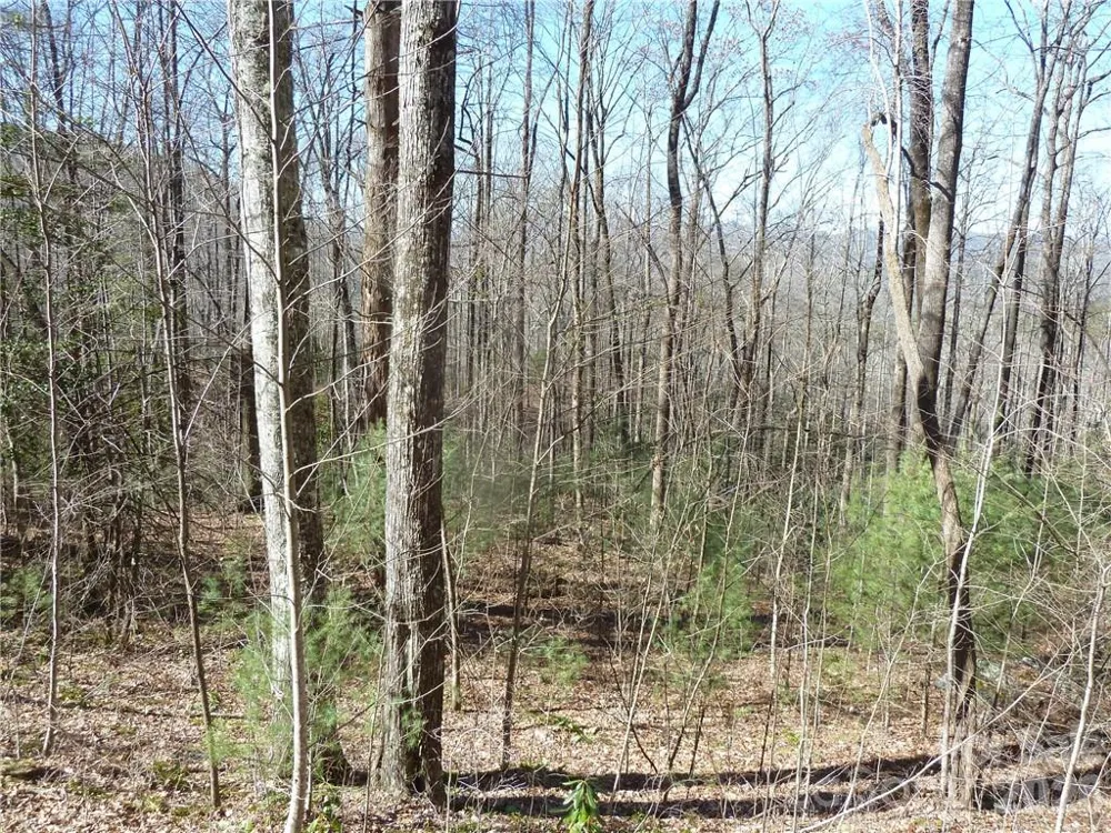 79 Peppervine Circle #L79 Rosman, NC 28772