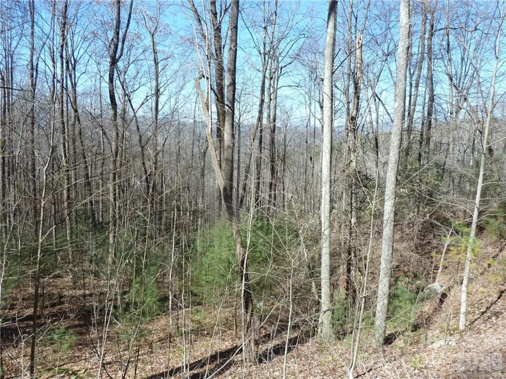 79 Peppervine Circle #L79 Rosman, NC 28772