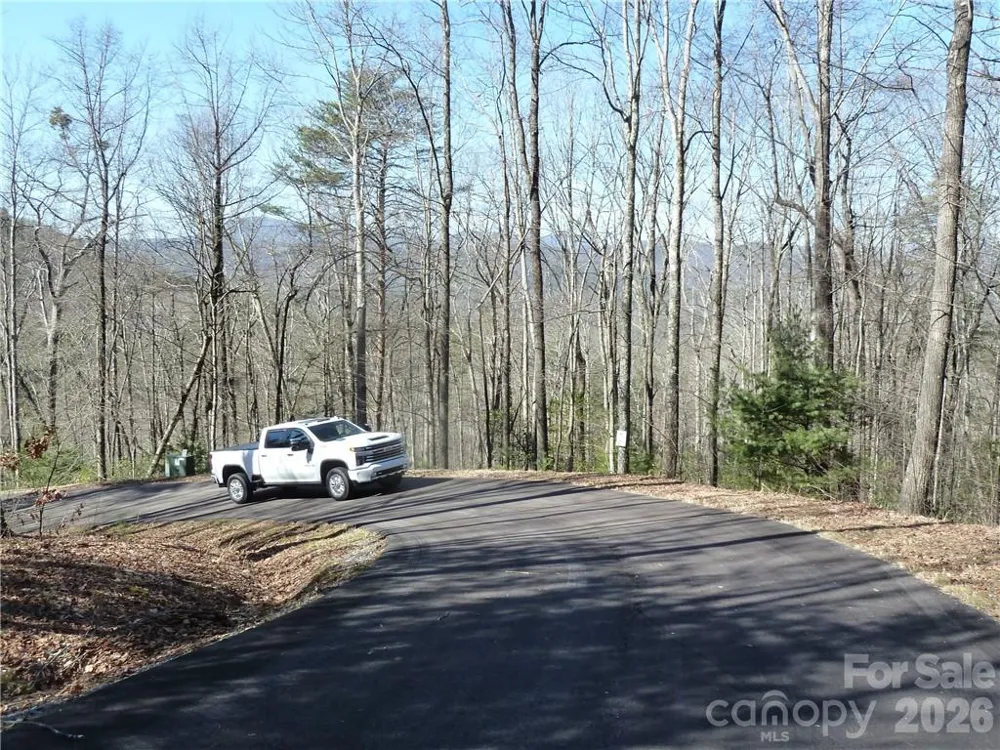 79 Peppervine Circle #L79 Rosman, NC 28772