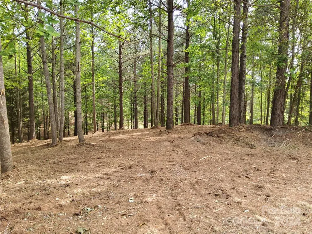0 Hearthstone Drive #2 Union Mills, NC 28167