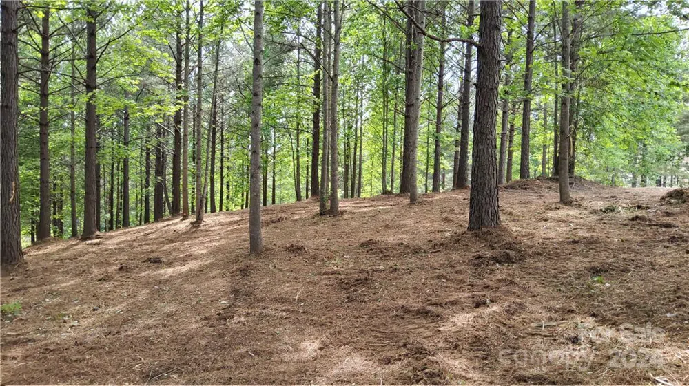 0 Hearthstone Drive #2 Union Mills, NC 28167