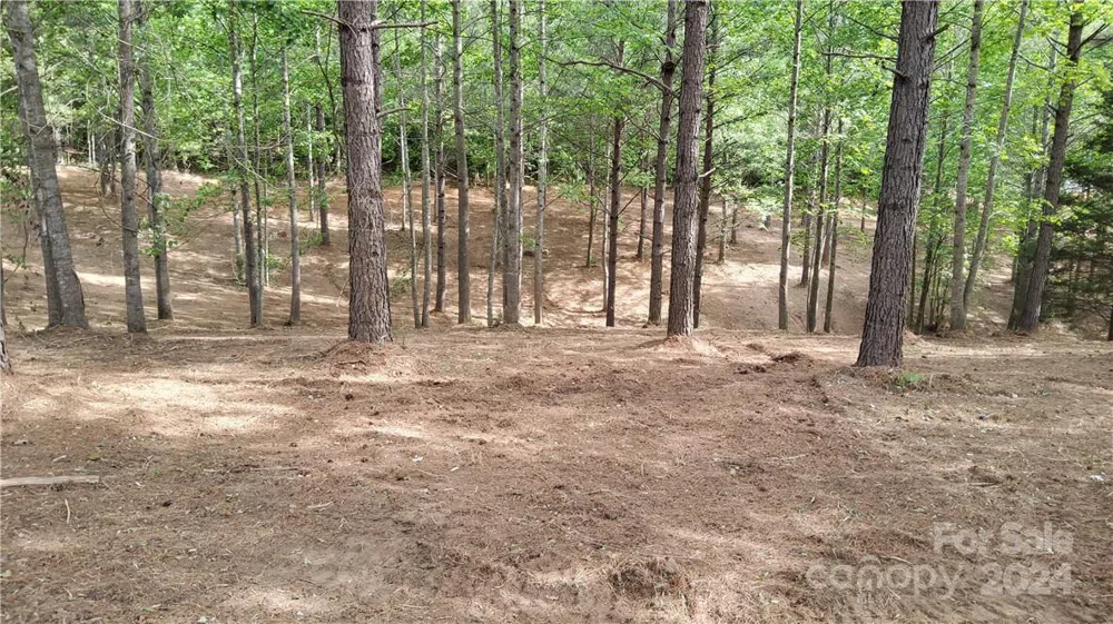 0 Hearthstone Drive #2 Union Mills, NC 28167