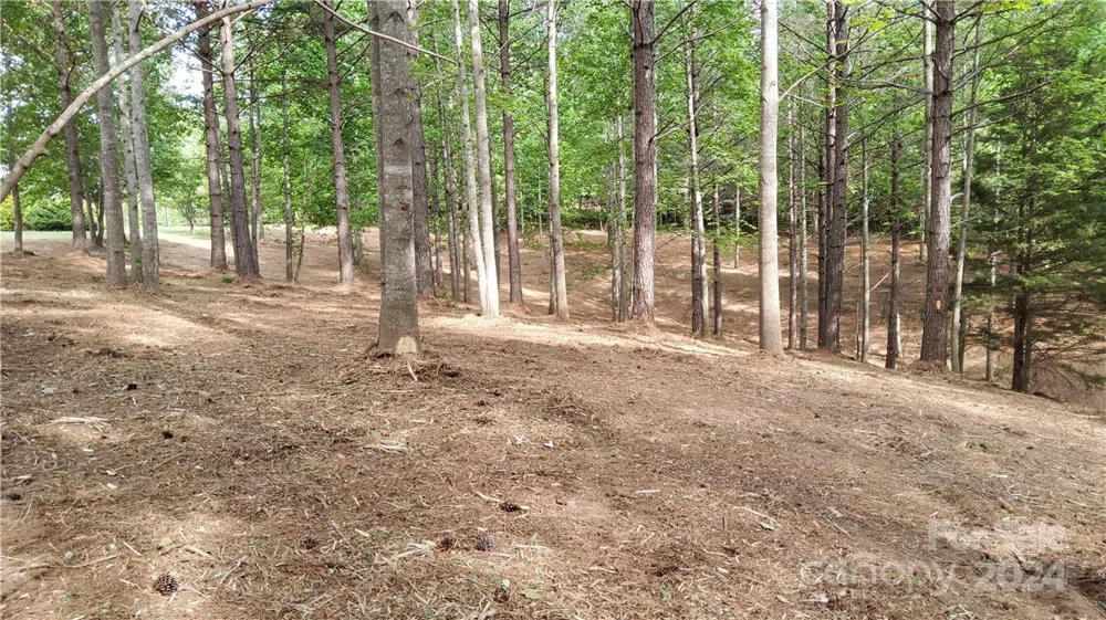 0 Hearthstone Drive #2 Union Mills, NC 28167