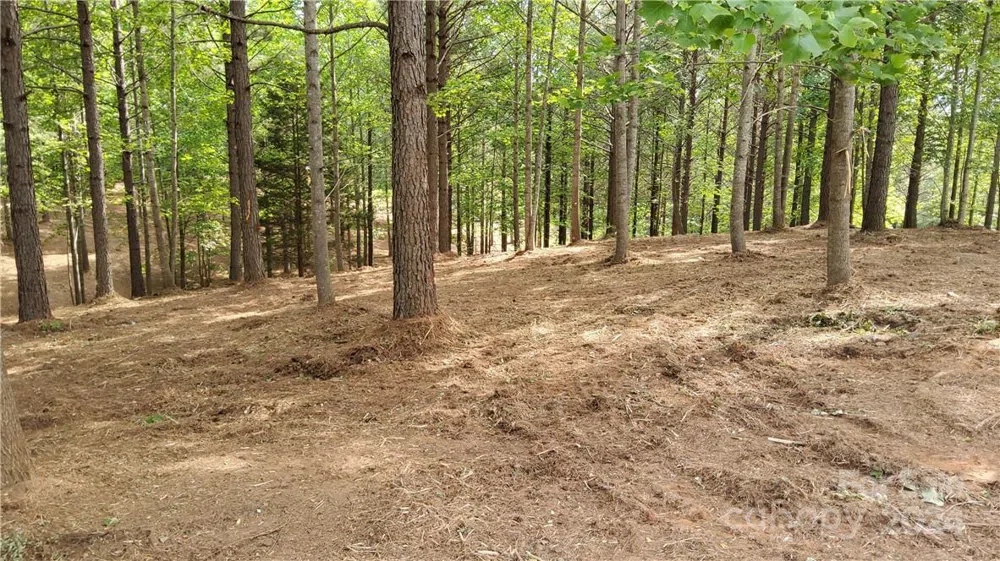 0 Hearthstone Drive #2 Union Mills, NC 28167