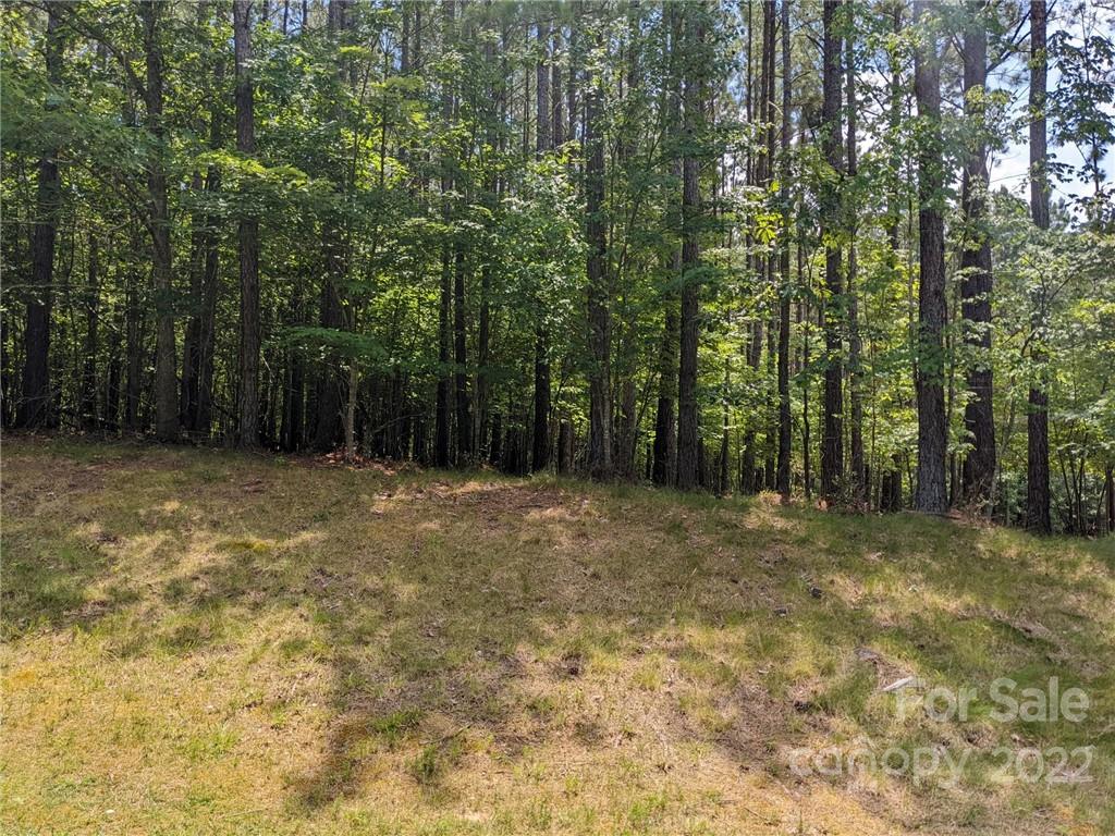 129 Plantation Way #78 Mount Gilead, NC 27306