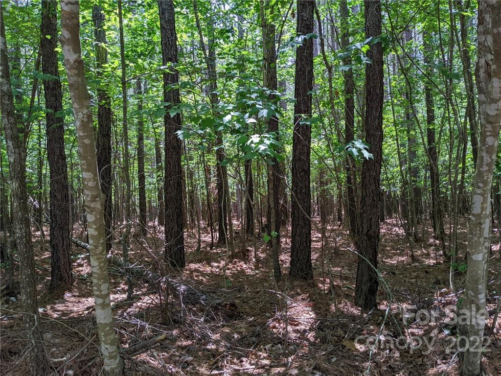 129 Plantation Way #78 Mount Gilead, NC 27306