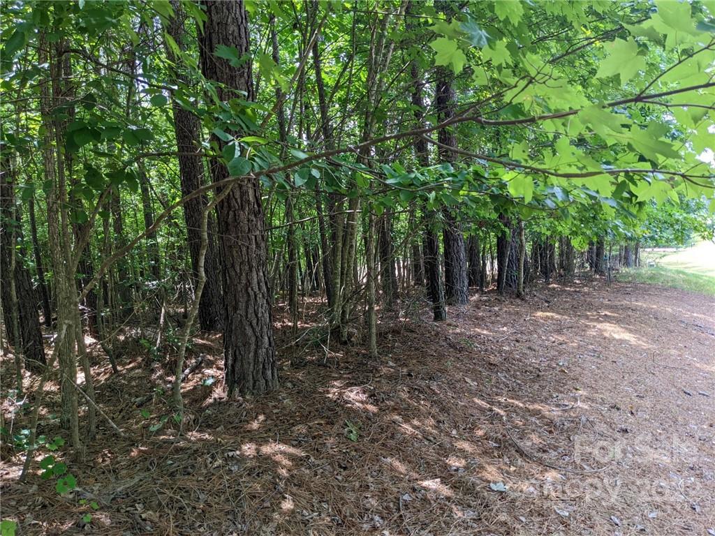 129 Plantation Way #78 Mount Gilead, NC 27306