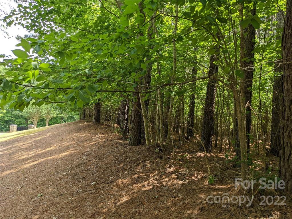 129 Plantation Way #78 Mount Gilead, NC 27306
