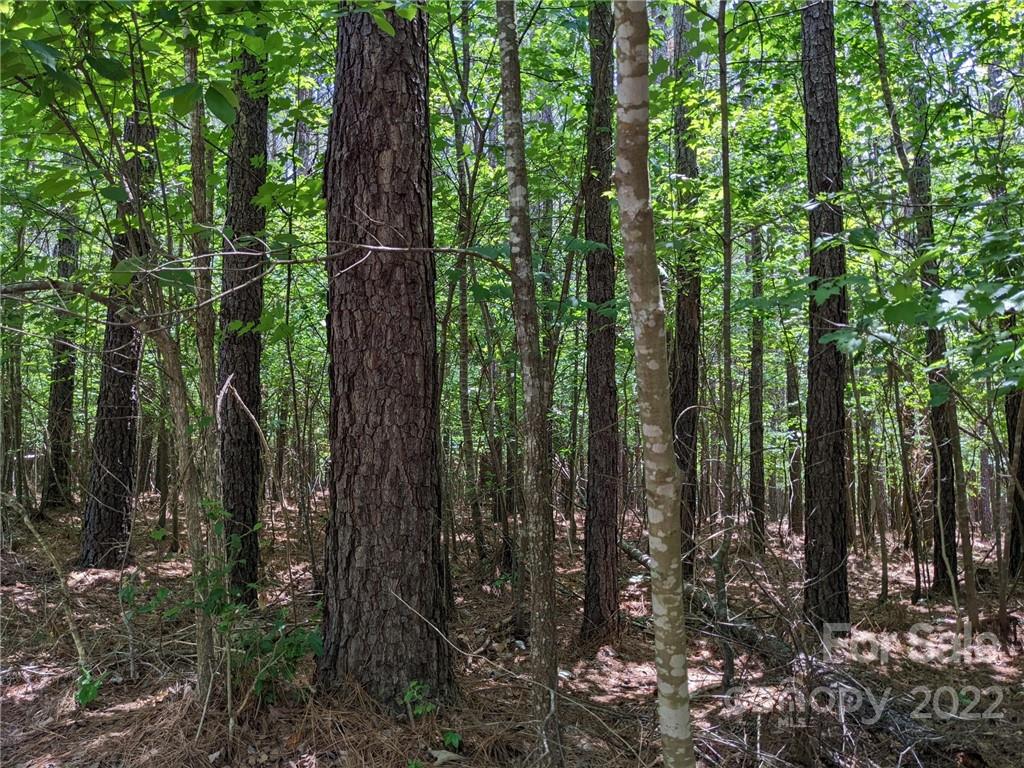 129 Plantation Way #78 Mount Gilead, NC 27306