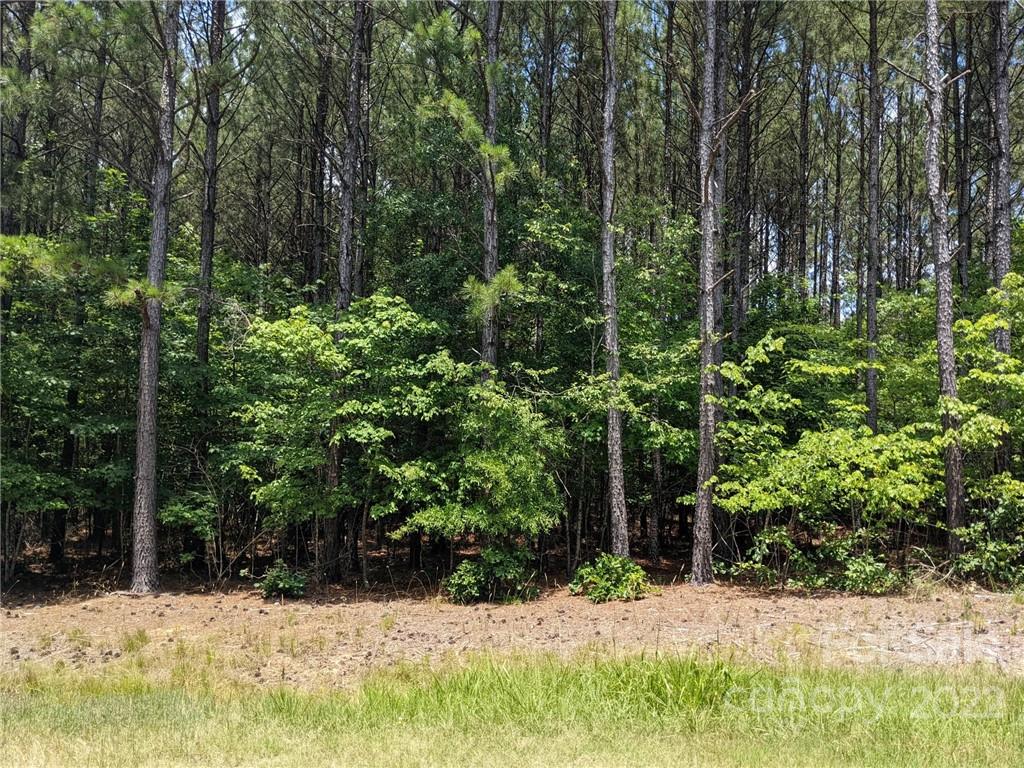 129 Plantation Way #78 Mount Gilead, NC 27306