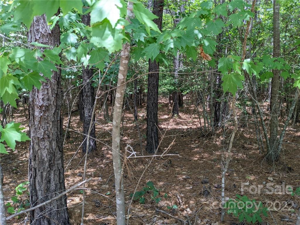 129 Plantation Way #78 Mount Gilead, NC 27306