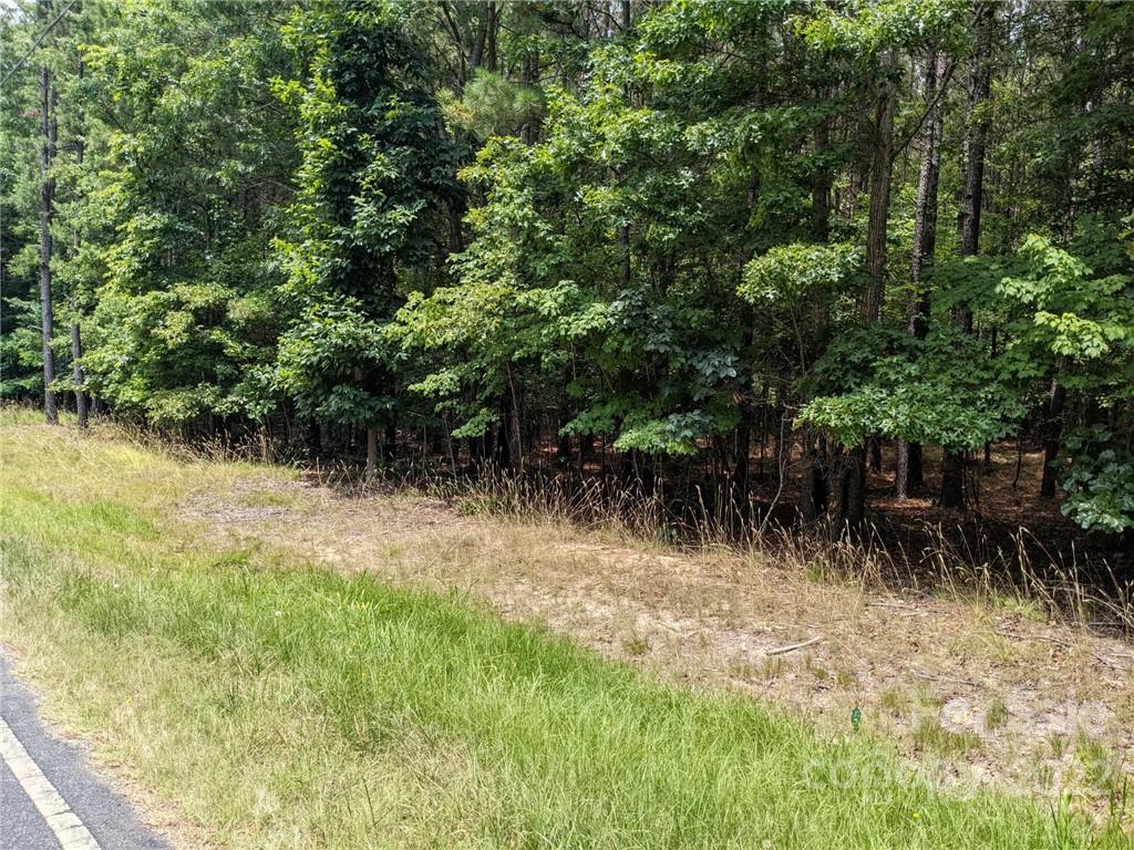 129 Plantation Way #78 Mount Gilead, NC 27306
