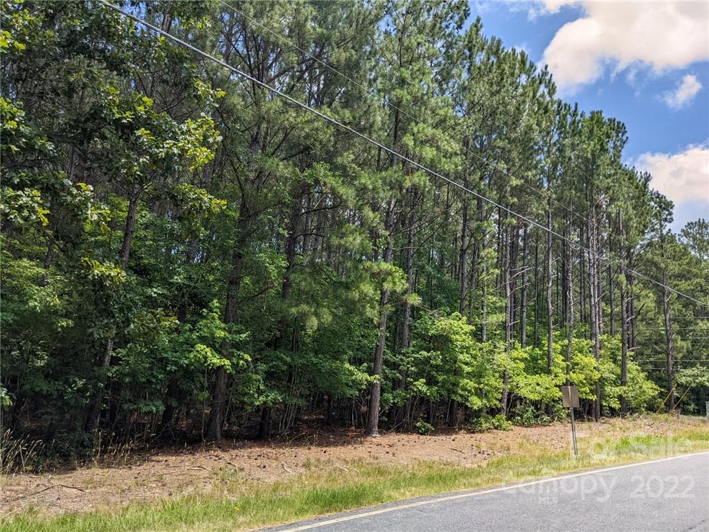 129 Plantation Way #78 Mount Gilead, NC 27306
