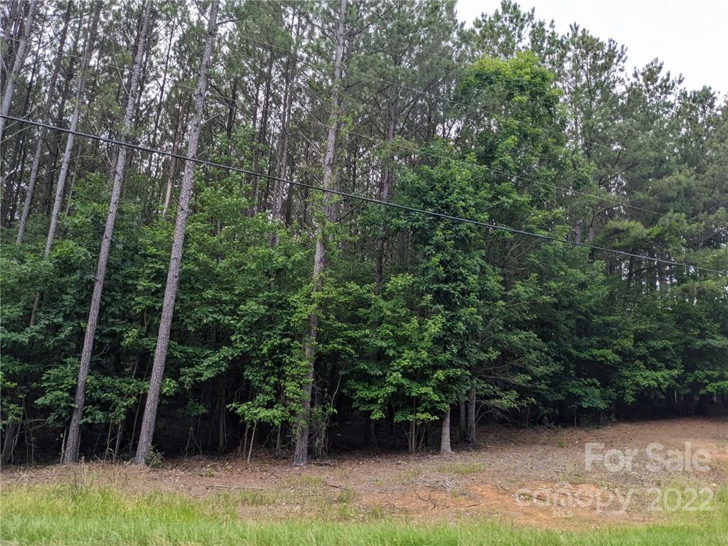 129 Plantation Way #78 Mount Gilead, NC 27306
