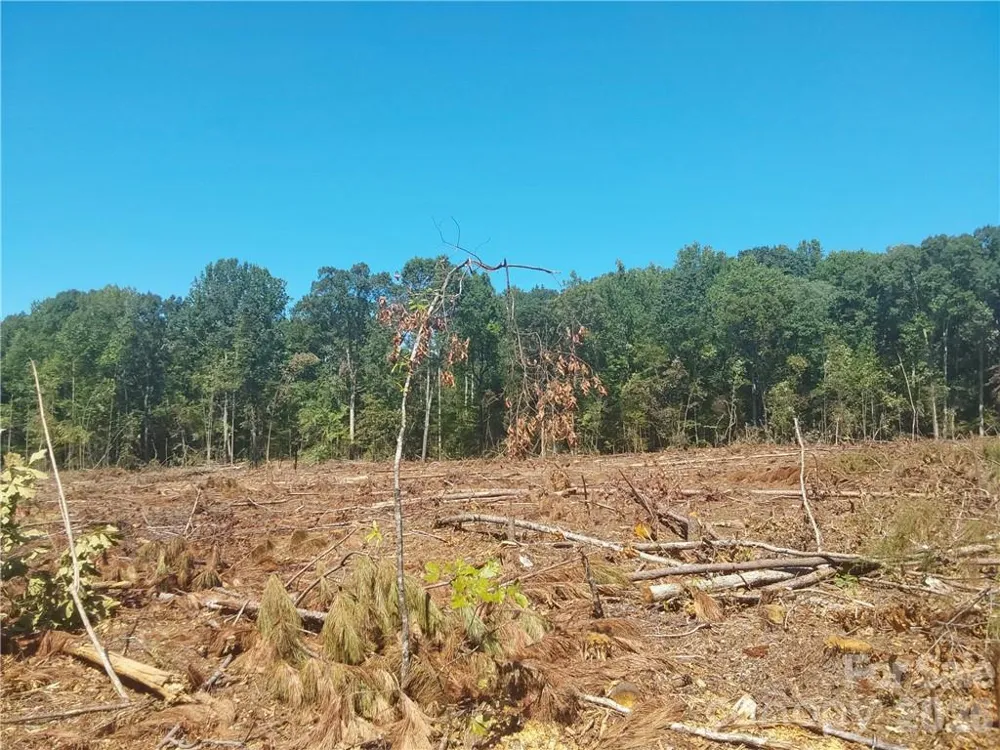 00 Requa Road Cherryville, NC 28021