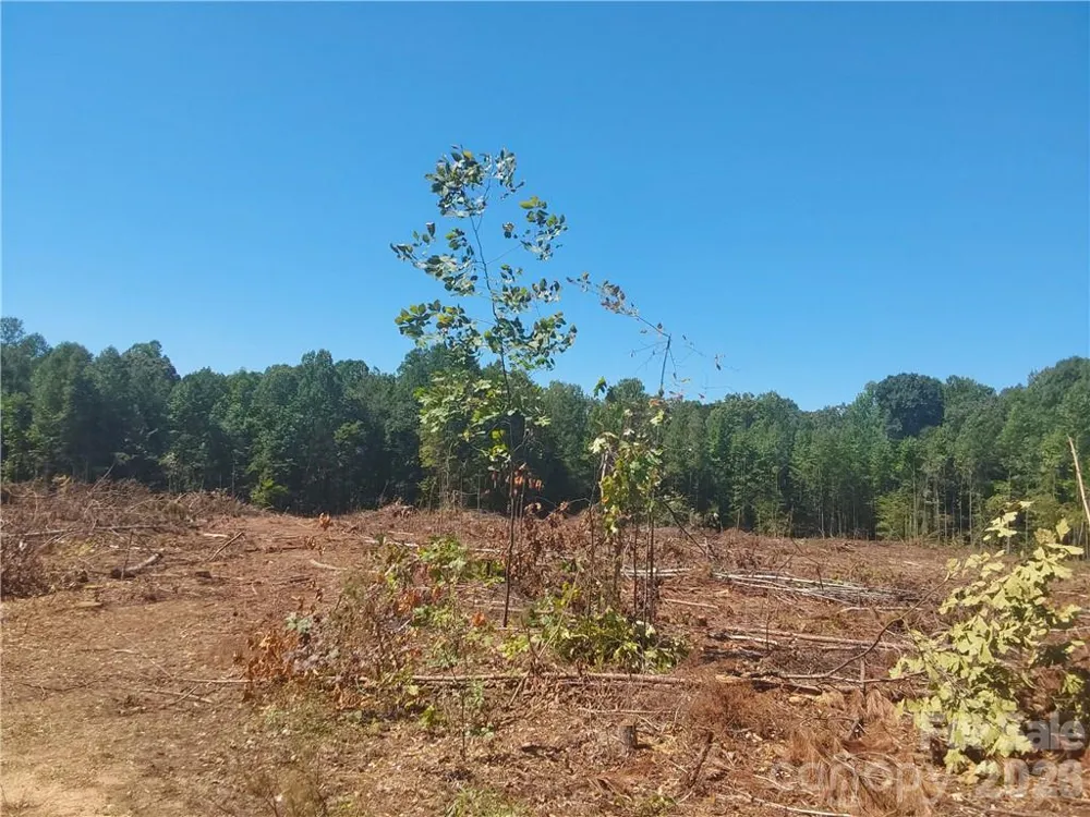 00 Requa Road Cherryville, NC 28021