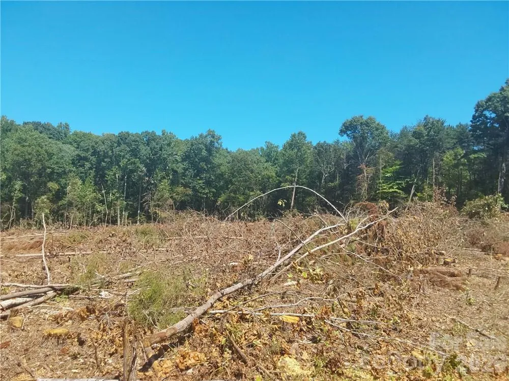 00 Requa Road Cherryville, NC 28021