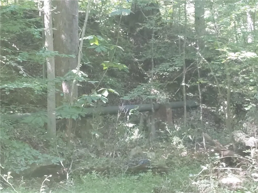00 Requa Road Cherryville, NC 28021