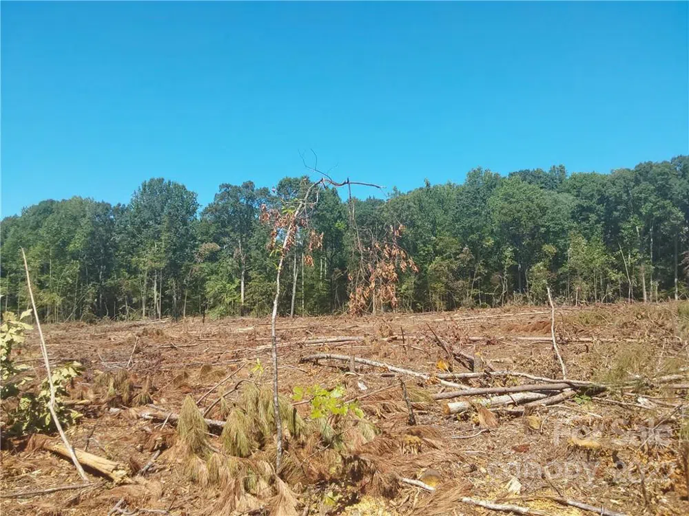 00 Requa Road Cherryville, NC 28021