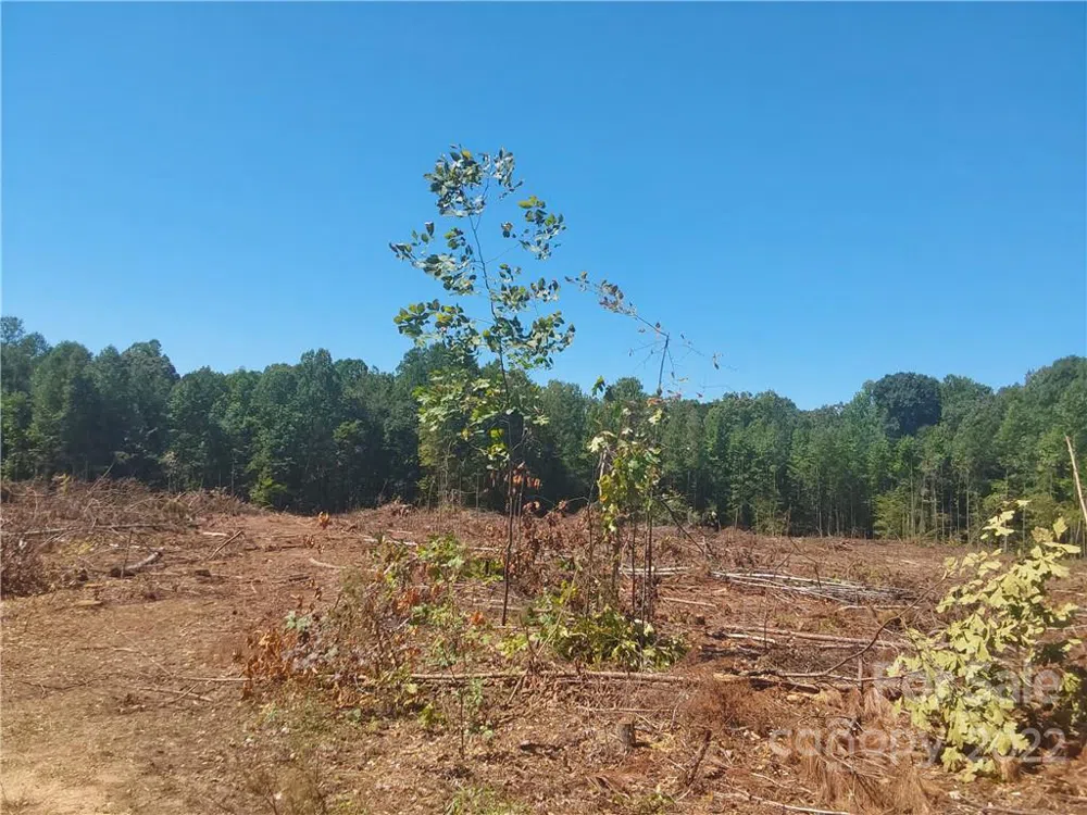 00 Requa Road Cherryville, NC 28021