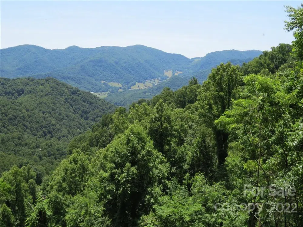 492 Freemont Drive #77