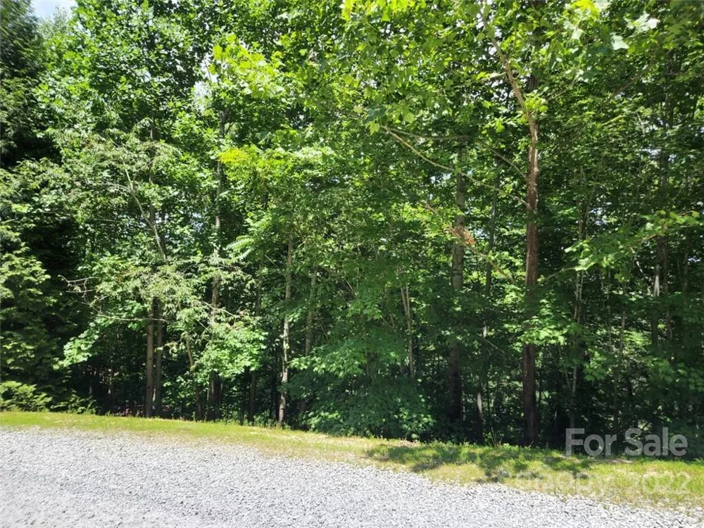 00 Summit Landing Drive #3 Zirconia, NC 28790