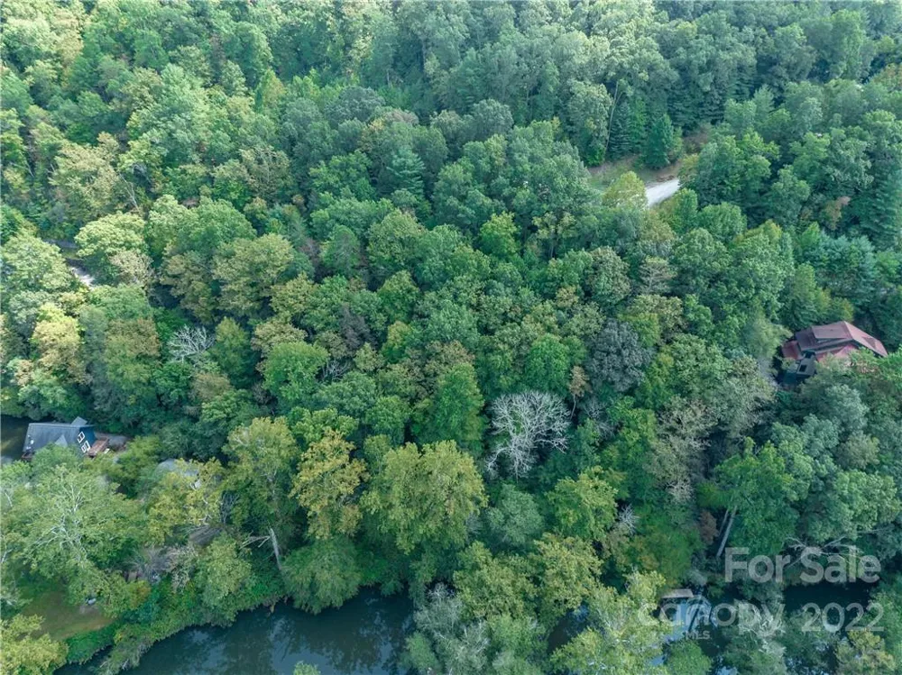 00 Summit Landing Drive #3 Zirconia, NC 28790