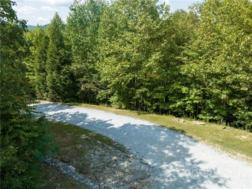 00 Summit Landing Drive #3 Zirconia, NC 28790