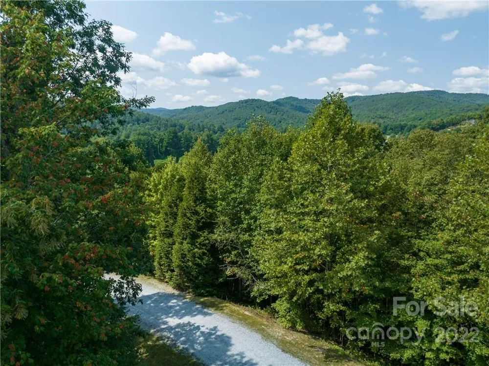 00 Summit Landing Drive #3 Zirconia, NC 28790