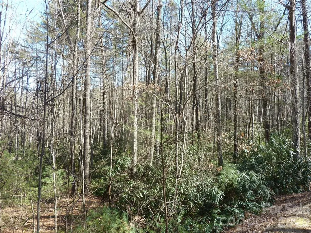 30 Abby Falls Drive #30 Rosman, NC 28772