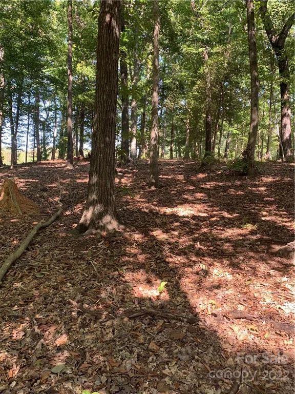Lot 9R Eagle Pointe Drive Norwood, NC 28128