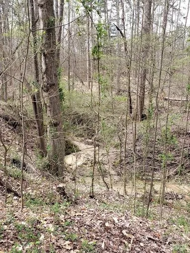 0 Deal Road Mooresville, NC 28115