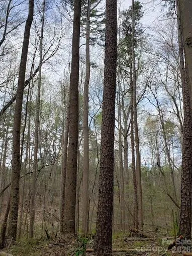 0 Deal Road Mooresville, NC 28115