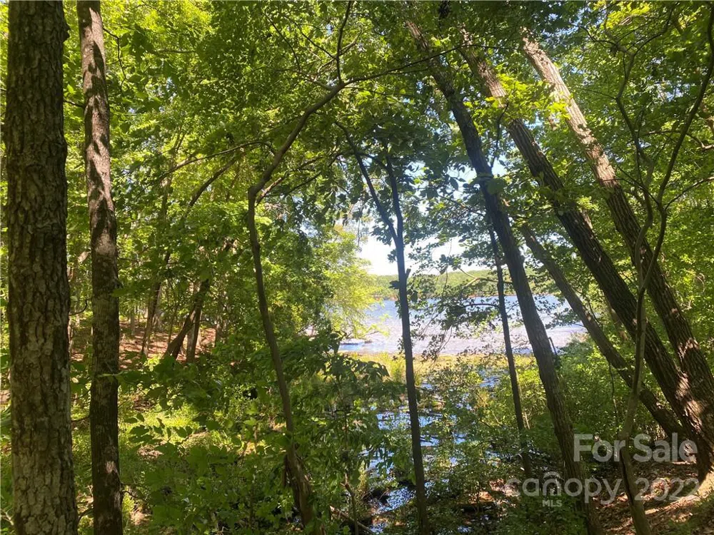 Lot 90 Edgewater Drive #90 Norwood, NC 28128