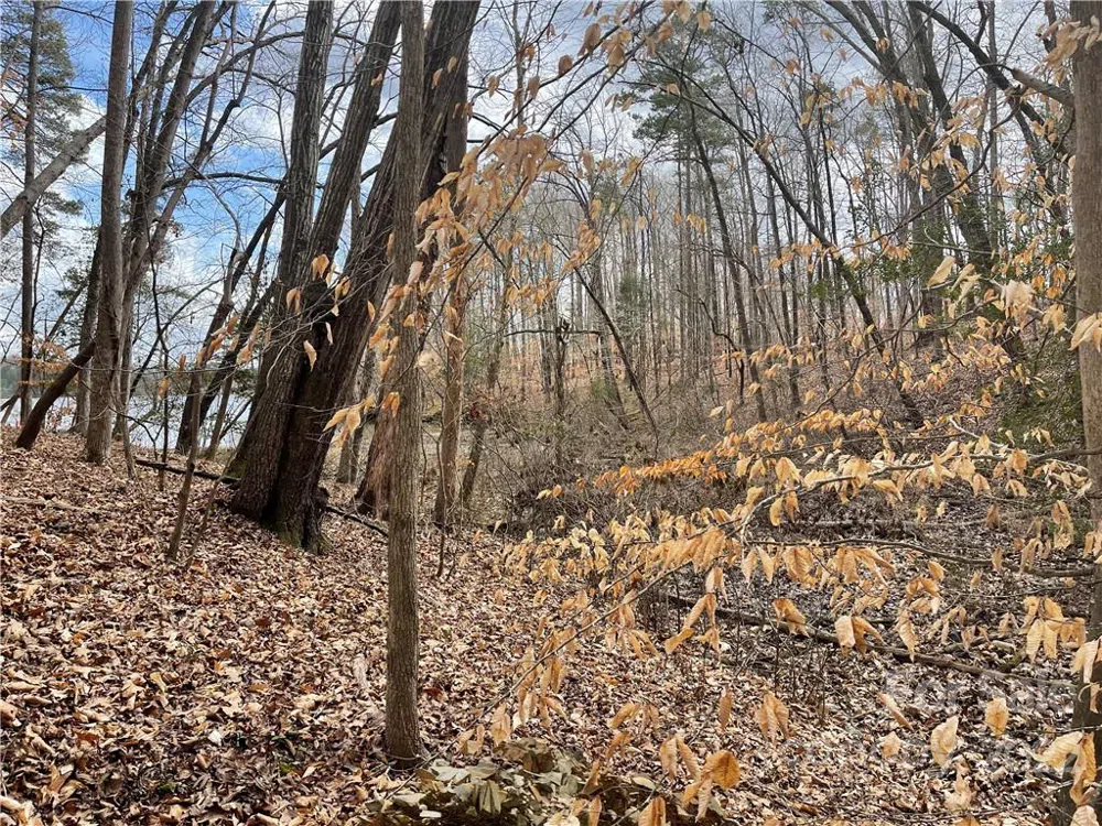 Lot 91 TIDEWATER COURT #91 Norwood, NC 28128