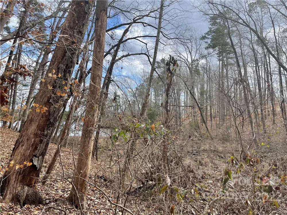 Lot 91 TIDEWATER COURT #91 Norwood, NC 28128