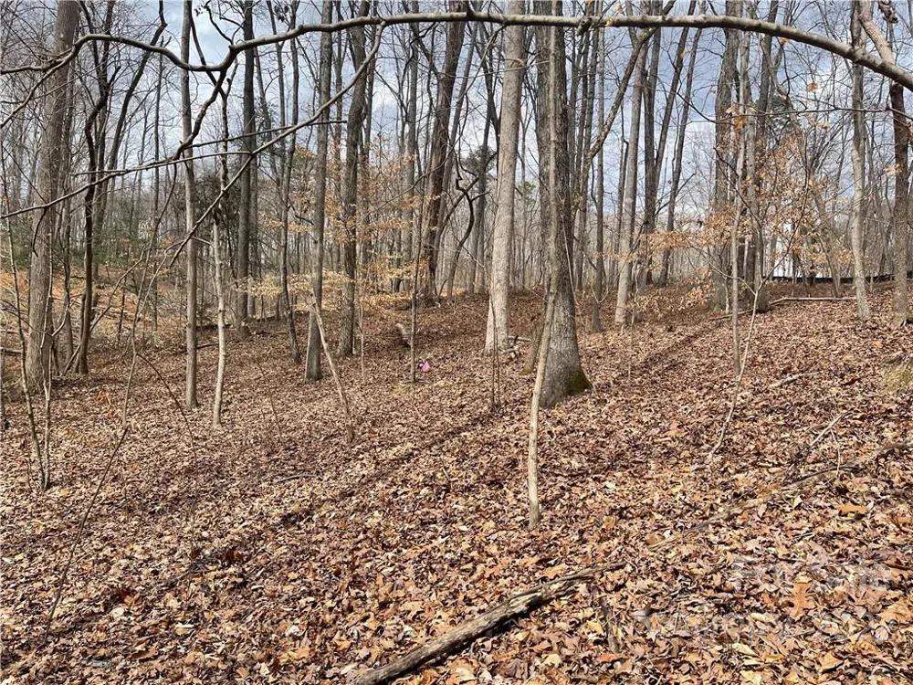 Lot 91 TIDEWATER COURT #91 Norwood, NC 28128