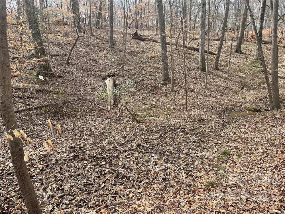 Lot 91 TIDEWATER COURT #91 Norwood, NC 28128