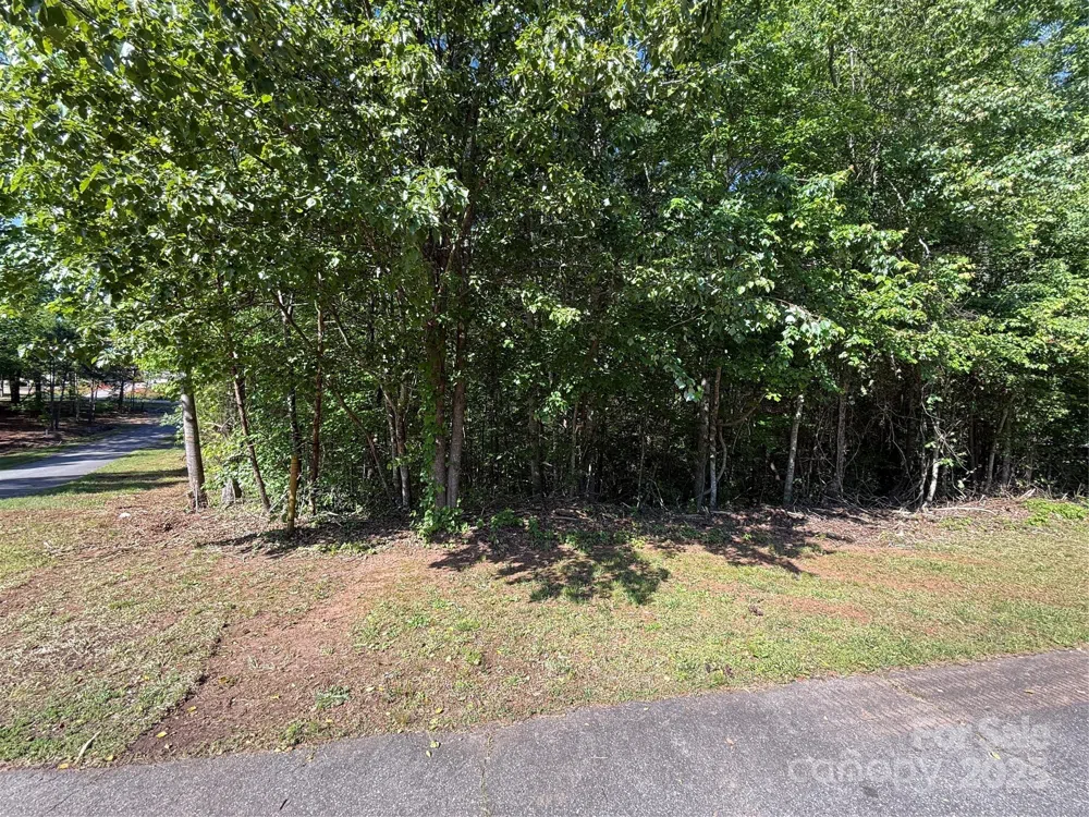 Lot 89 BROWNING DRIVE #089 Taylorsville, NC 28681
