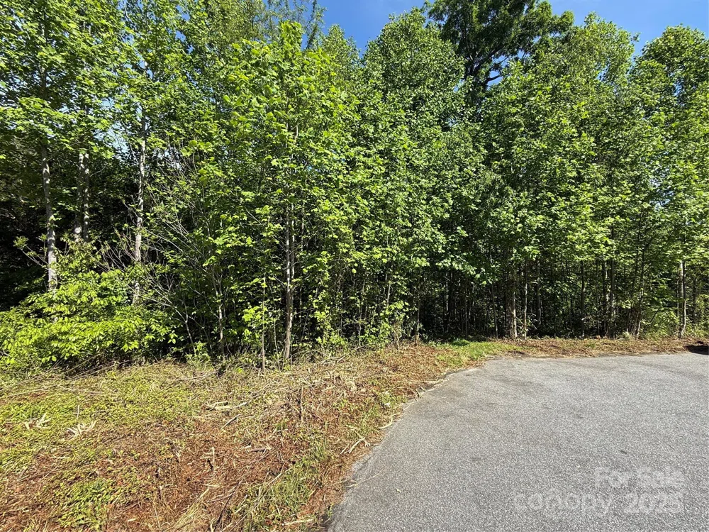 Lot 263 RILEY DRIVE #263 Taylorsville, NC 28681