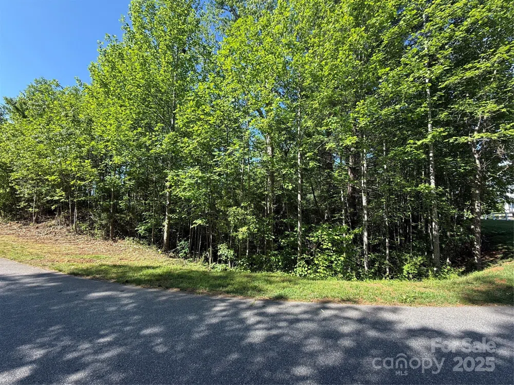 Lot 280 WHITMAN COURT #280 Taylorsville, NC 28681