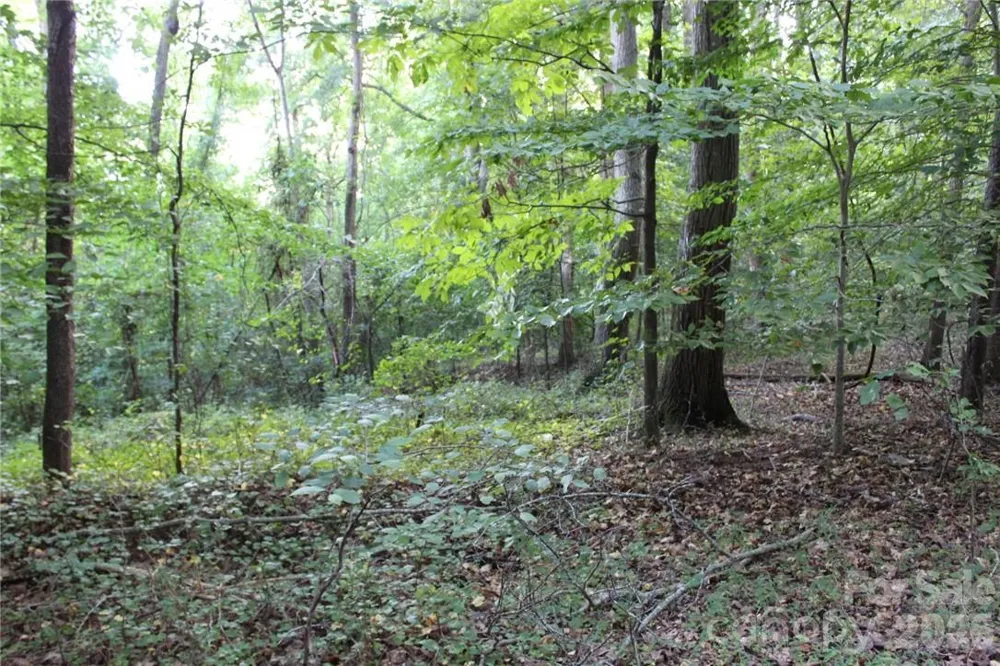 0 Hoover Road Troutman, NC 28166