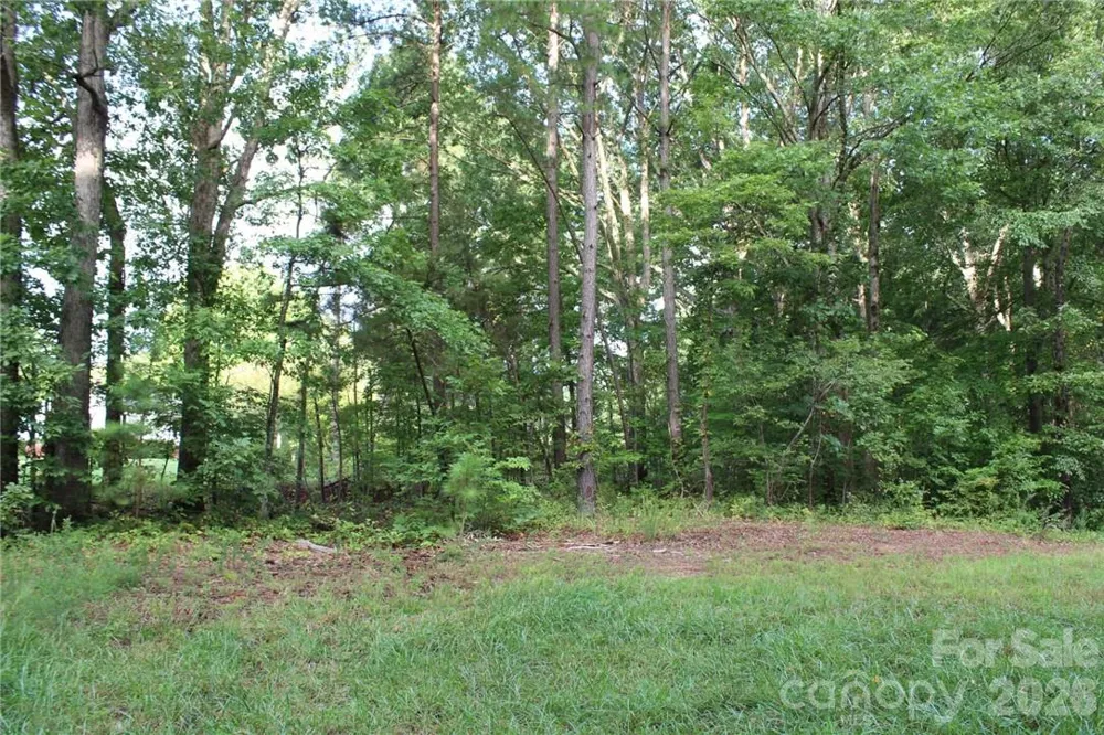 0 Hoover Road Troutman, NC 28166