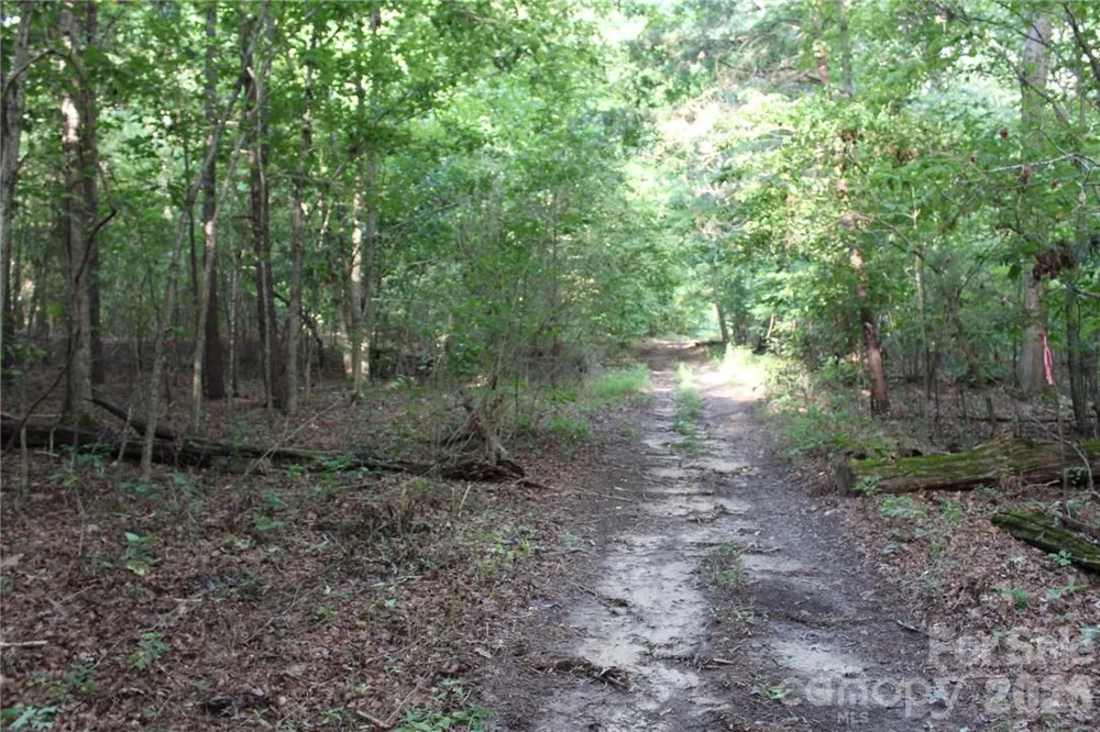 0 Hoover Road Troutman, NC 28166