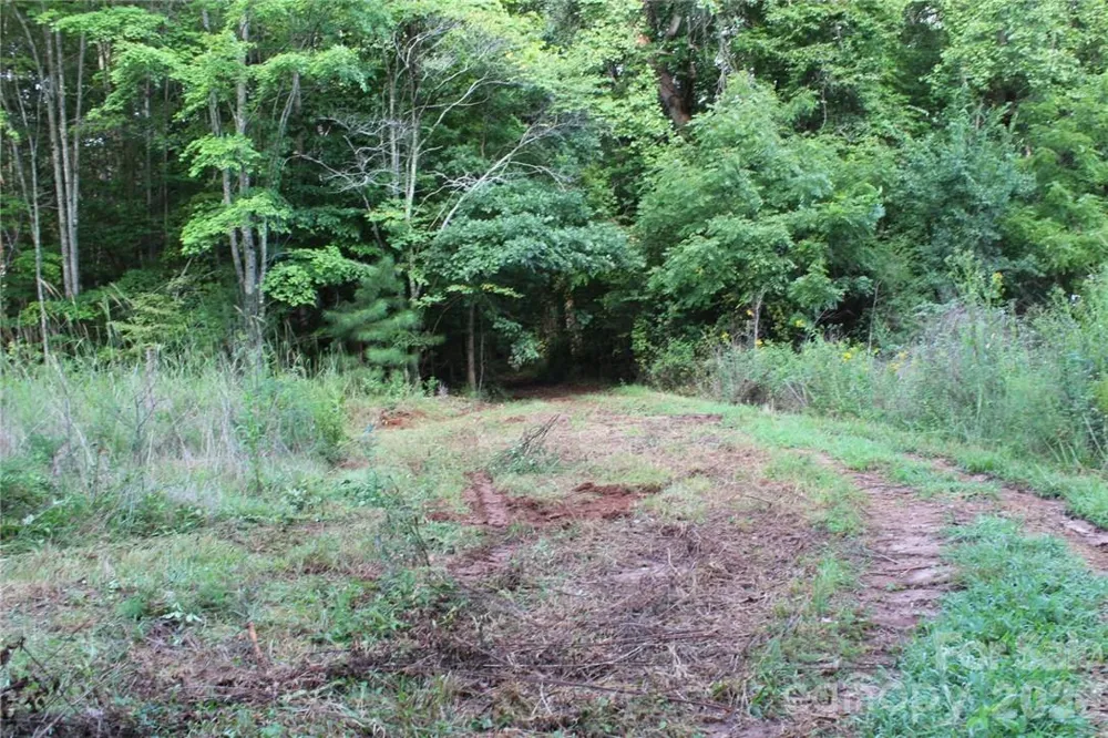 0 Hoover Road Troutman, NC 28166