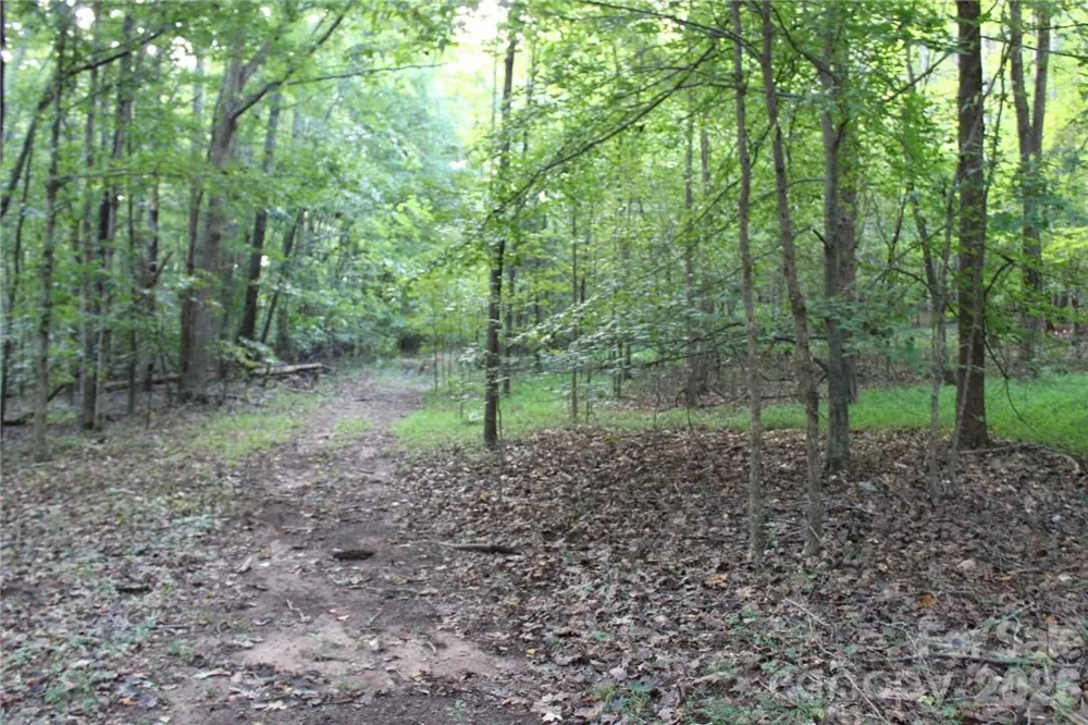 0 Hoover Road Troutman, NC 28166