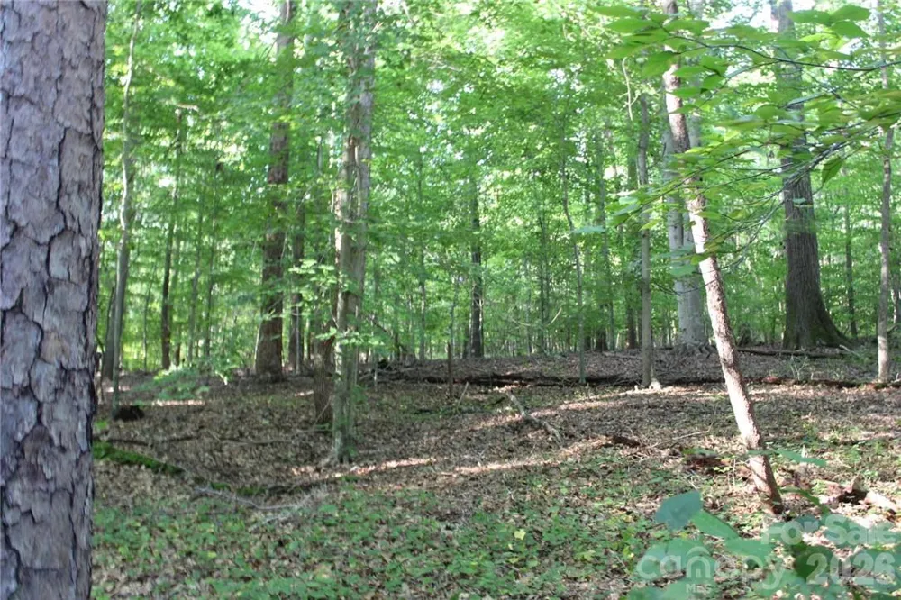 0 Hoover Road Troutman, NC 28166